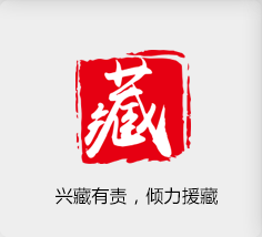 兴藏有责，倾力援藏